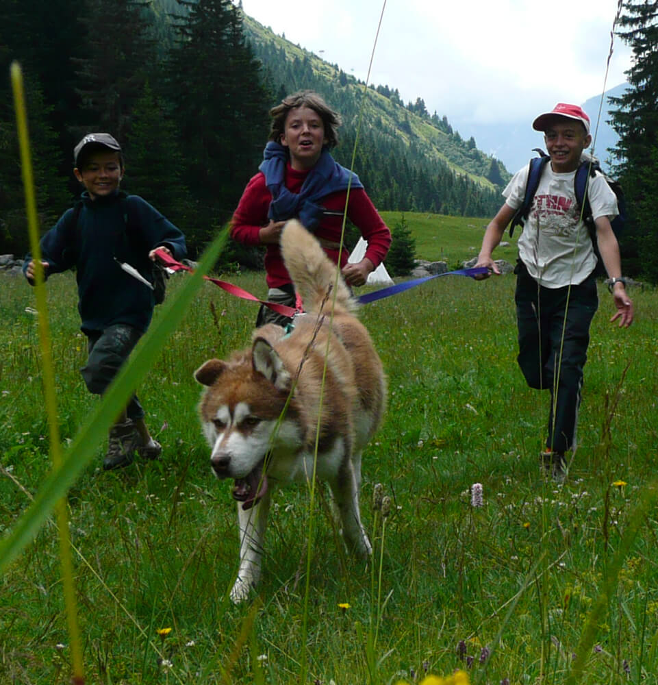 Cani-Rando en Haute-Savoie avec Évasion Nordique